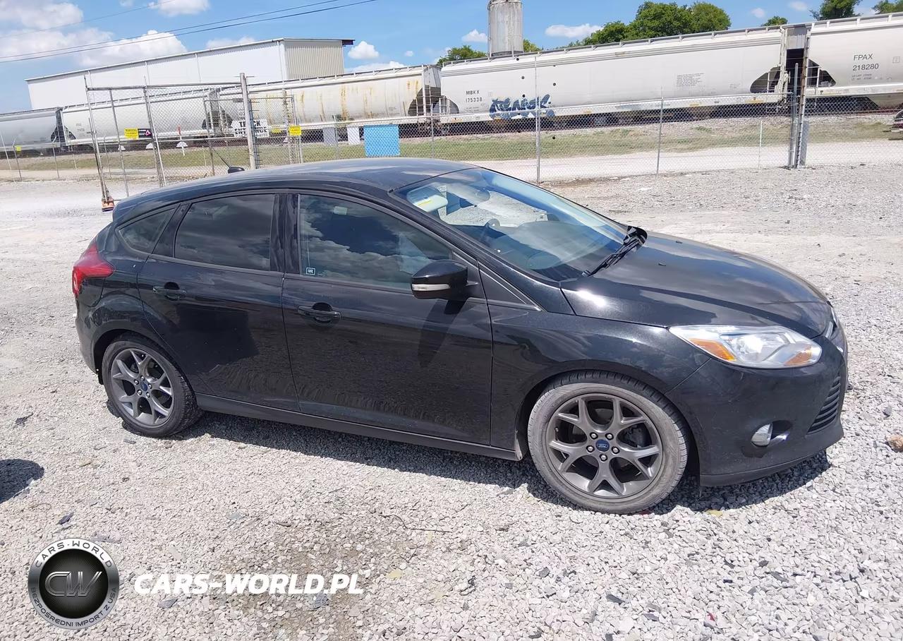 2014 Ford Focus Se VIN:1FADP3K29EL120016 - 14