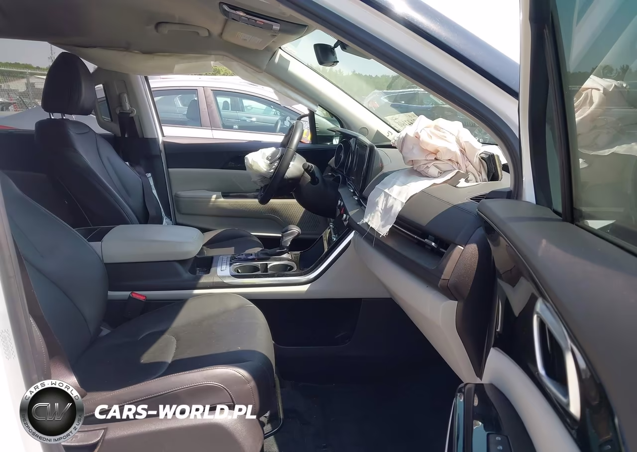 2024 Kia Carnival Mpv Ex VIN:KNDNC5H38R6390266 - 5