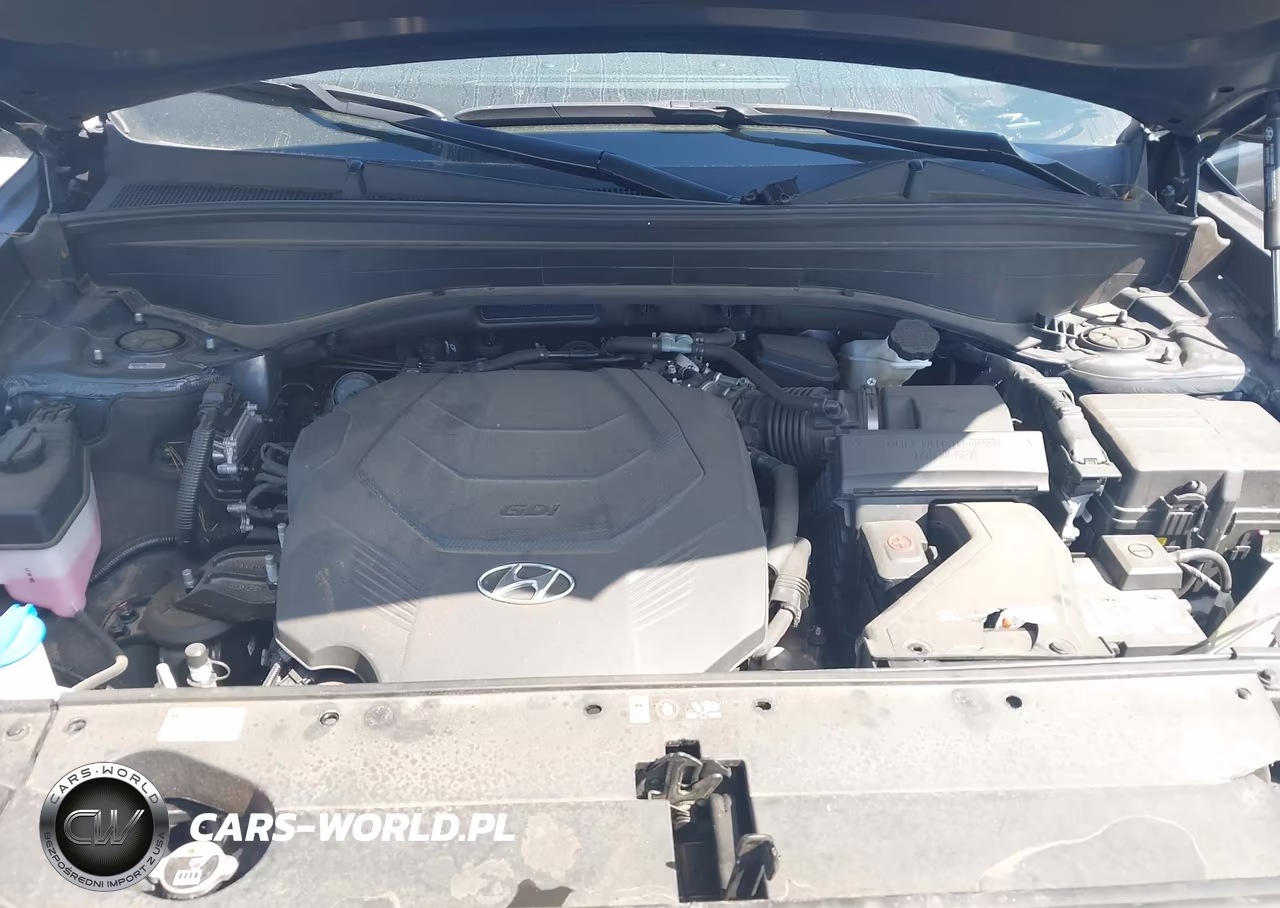 2024 Hyundai Palisade Sel 8P VIN:KM8R44GE9RU790694 - 10