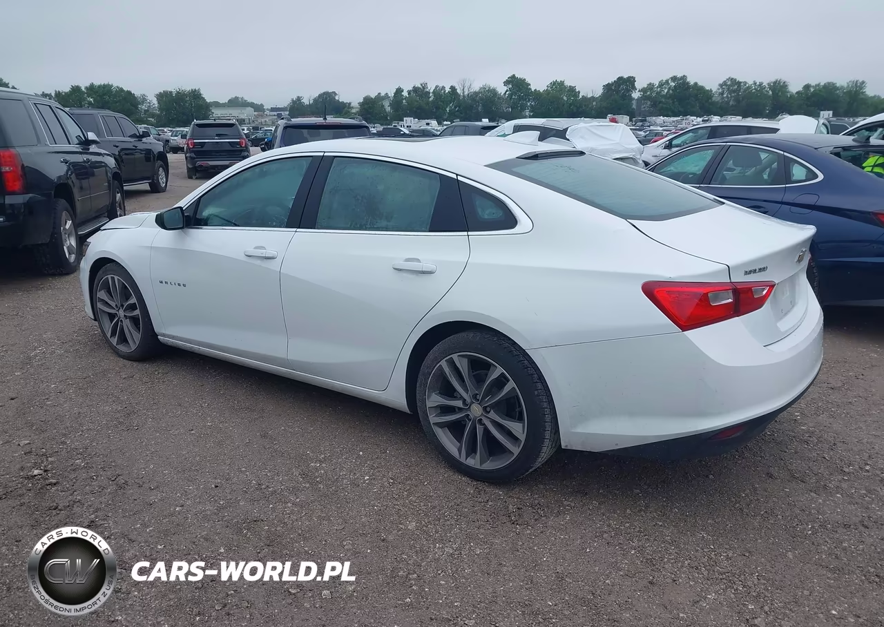 2023 Chevrolet Malibu Fwd 1Lt VIN:1G1ZD5ST9PF210869 - 3
