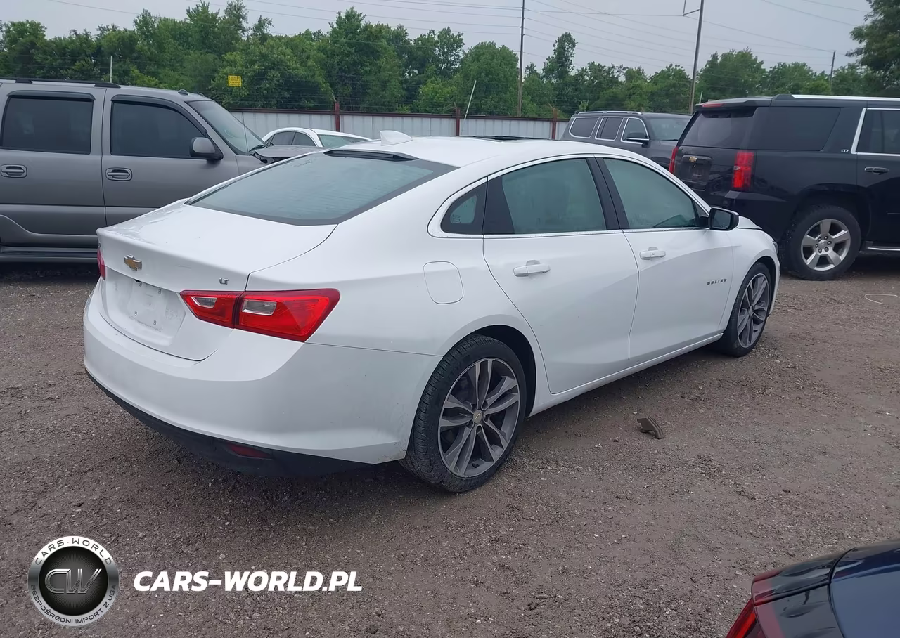 2023 Chevrolet Malibu Fwd 1Lt VIN:1G1ZD5ST9PF210869 - 4