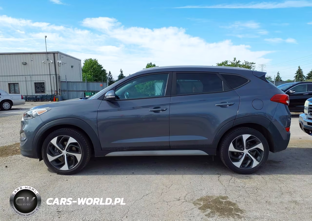2017 Hyundai Tucson Sport VIN:KM8J3CA28HU401437 - 14
