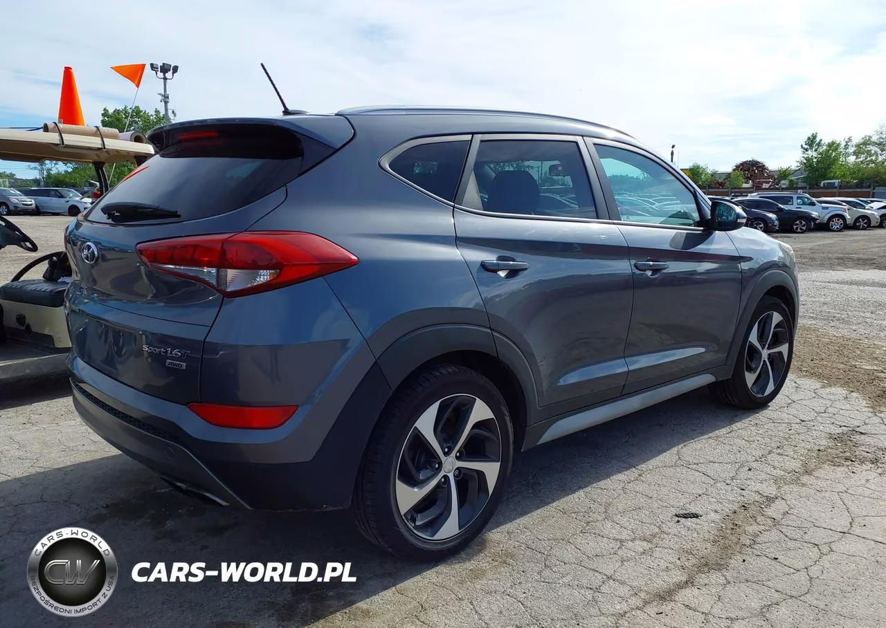 2017 Hyundai Tucson Sport VIN:KM8J3CA28HU401437 - 4