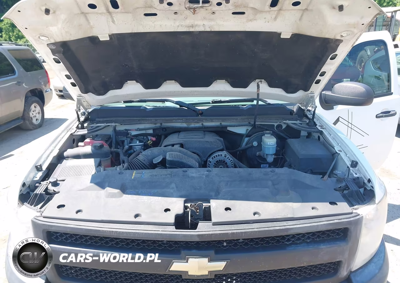 2007 Chevrolet Silverado 1500 Work Truck VIN:1GCEC14017E577906 - 10