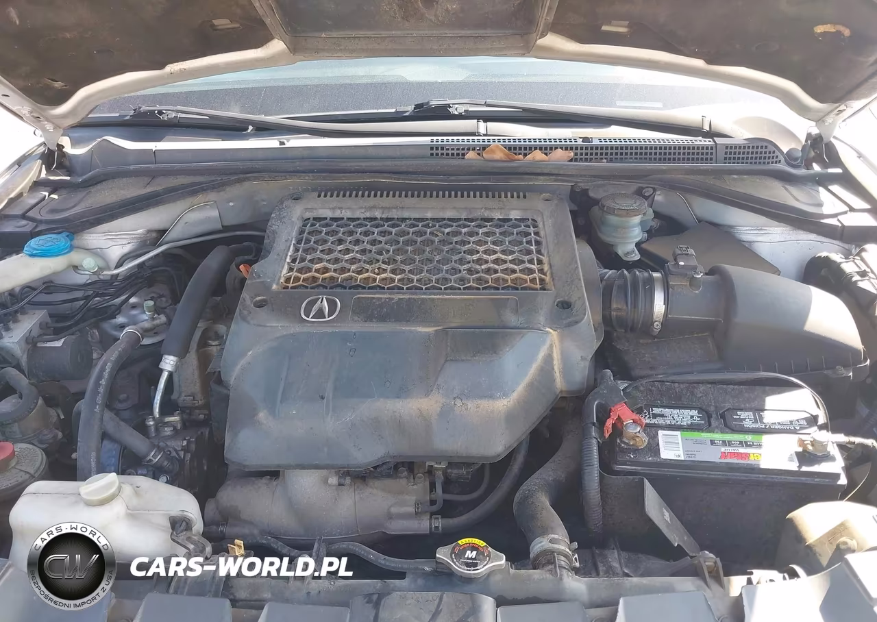 2007 Acura Rdx VIN:5J8TB18577A007787 - 10