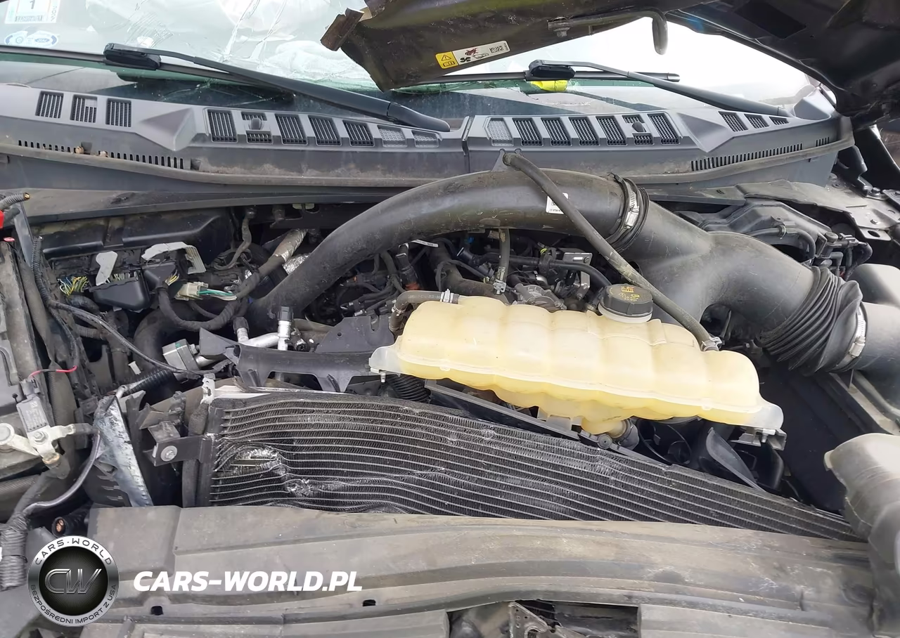2019 Ford F-150 Xl VIN:1FTEX1EP8KKC06350 - 10