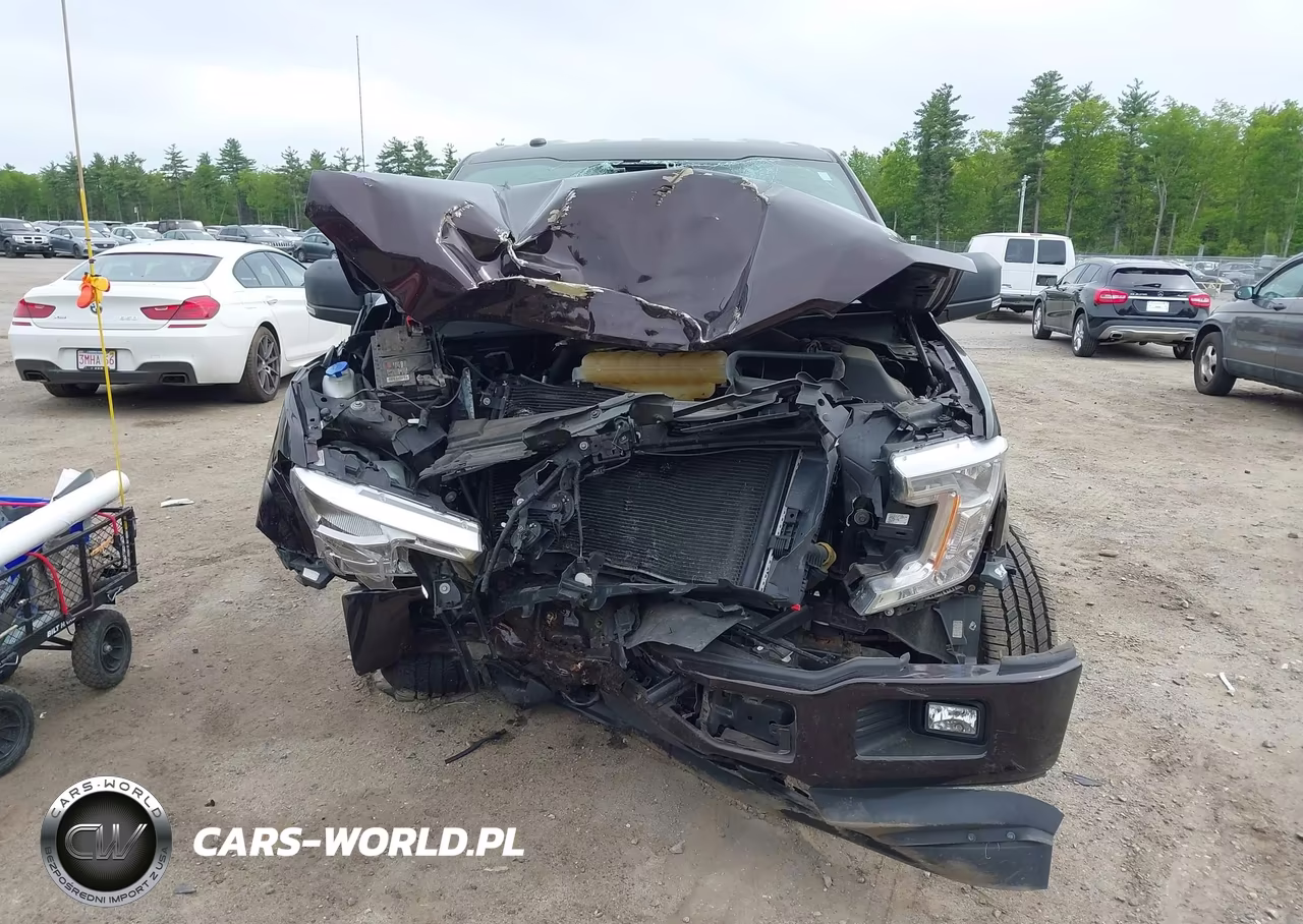 2019 Ford F-150 Xl VIN:1FTEX1EP8KKC06350 - 12