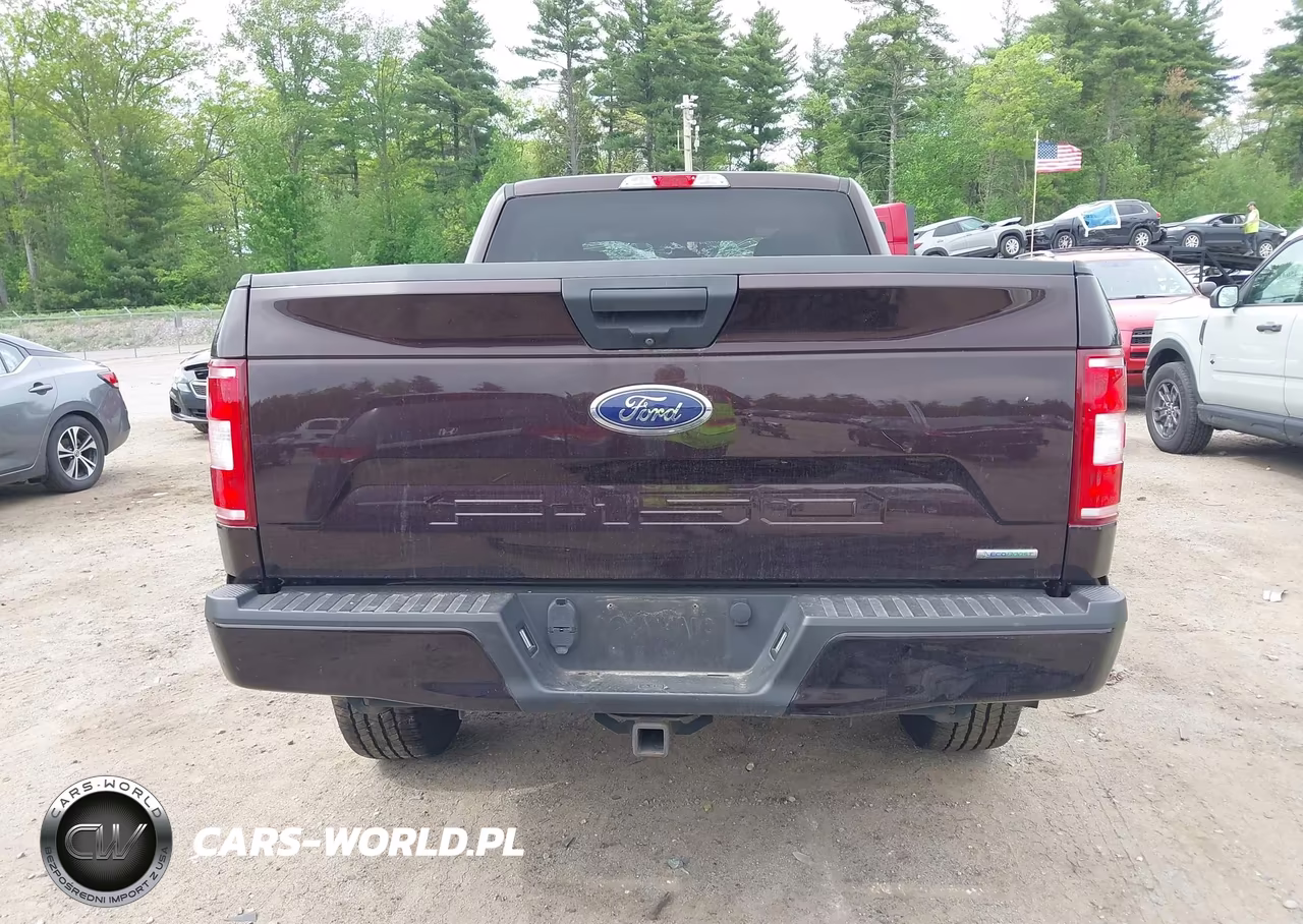 2019 Ford F-150 Xl VIN:1FTEX1EP8KKC06350 - 16