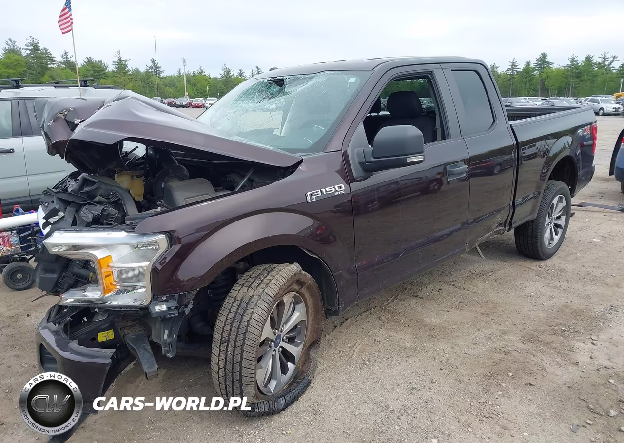 2019 Ford F-150 Xl VIN:1FTEX1EP8KKC06350 - 2