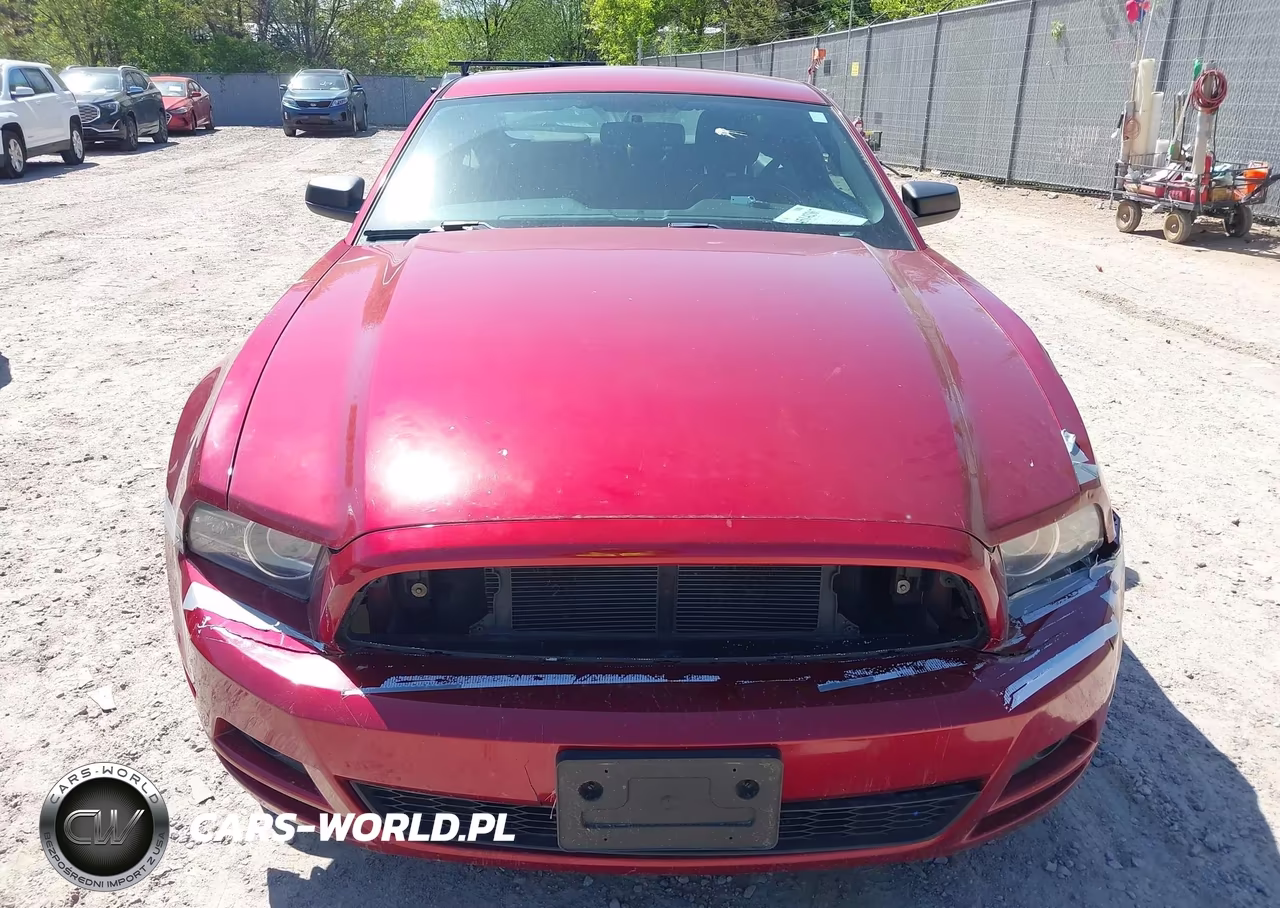 2014 Ford Mustang V6 VIN:1ZVBP8AM2E5259276 - 12