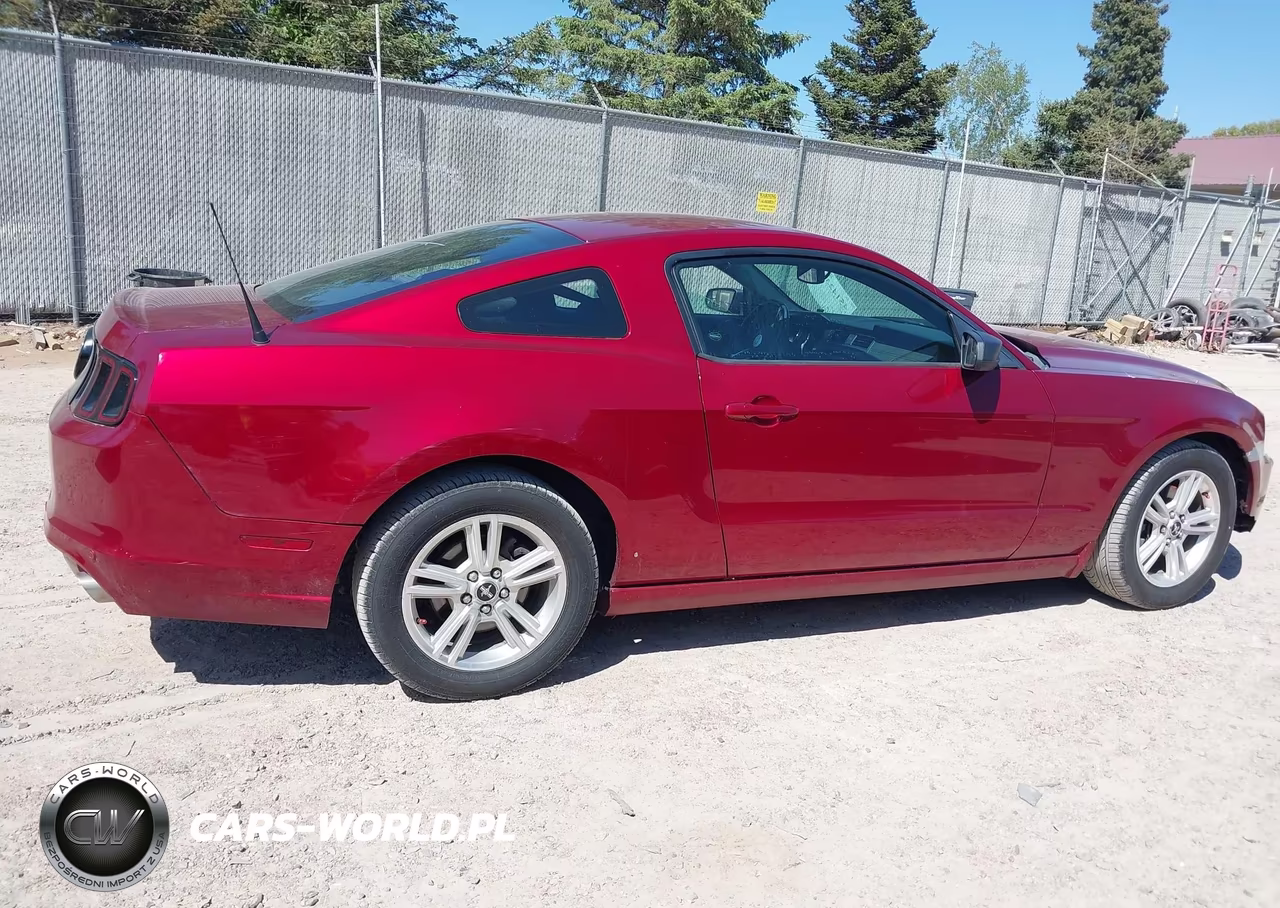 2014 Ford Mustang V6 VIN:1ZVBP8AM2E5259276 - 13