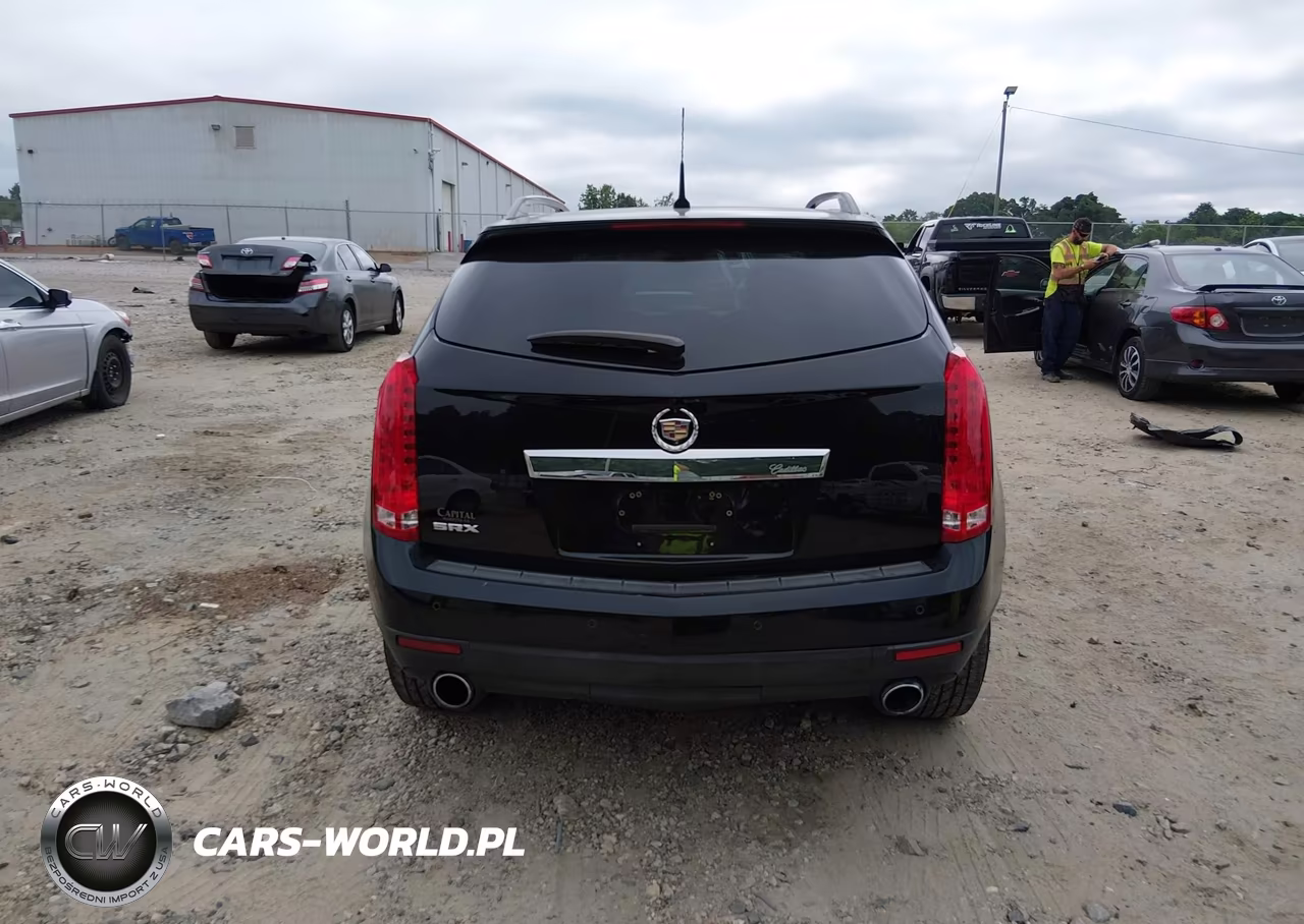 2010 Cadillac Srx Luxury Collection VIN:3GYFNAEY6AS532695 - 16