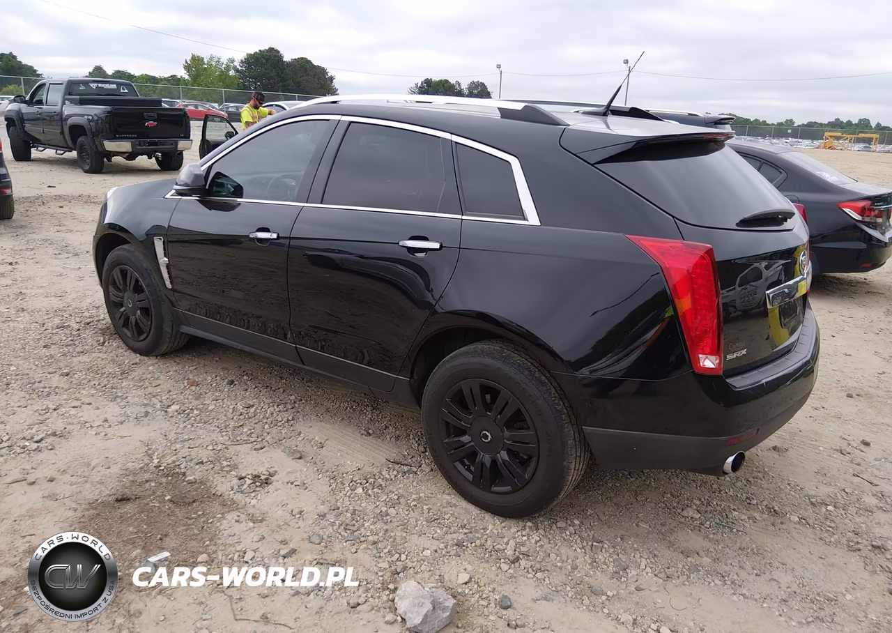 2010 Cadillac Srx Luxury Collection VIN:3GYFNAEY6AS532695 - 3