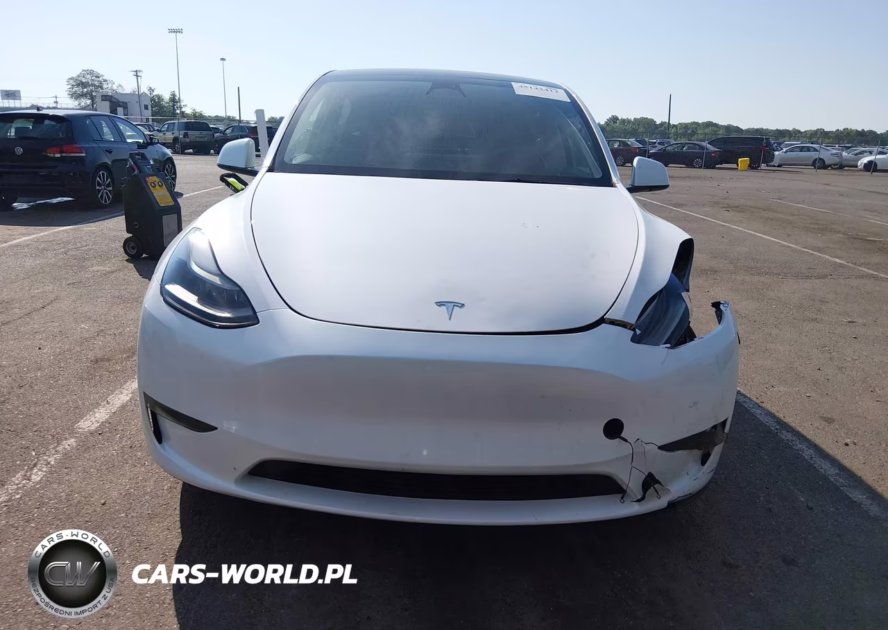 2023 Tesla Model Y VIN:7SAYGDEE3PF686365 - 11