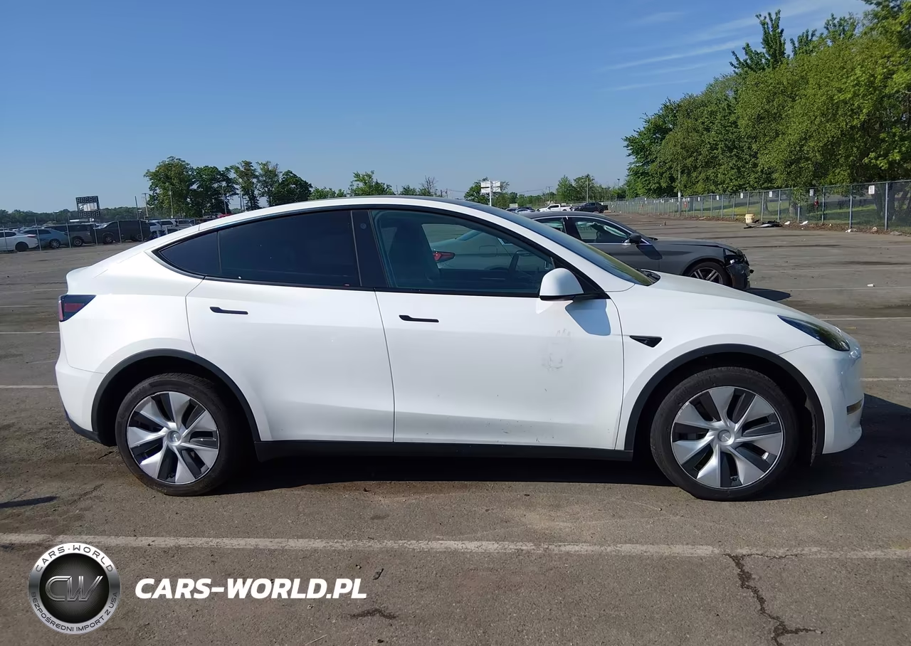 2023 Tesla Model Y VIN:7SAYGDEE3PF686365 - 12