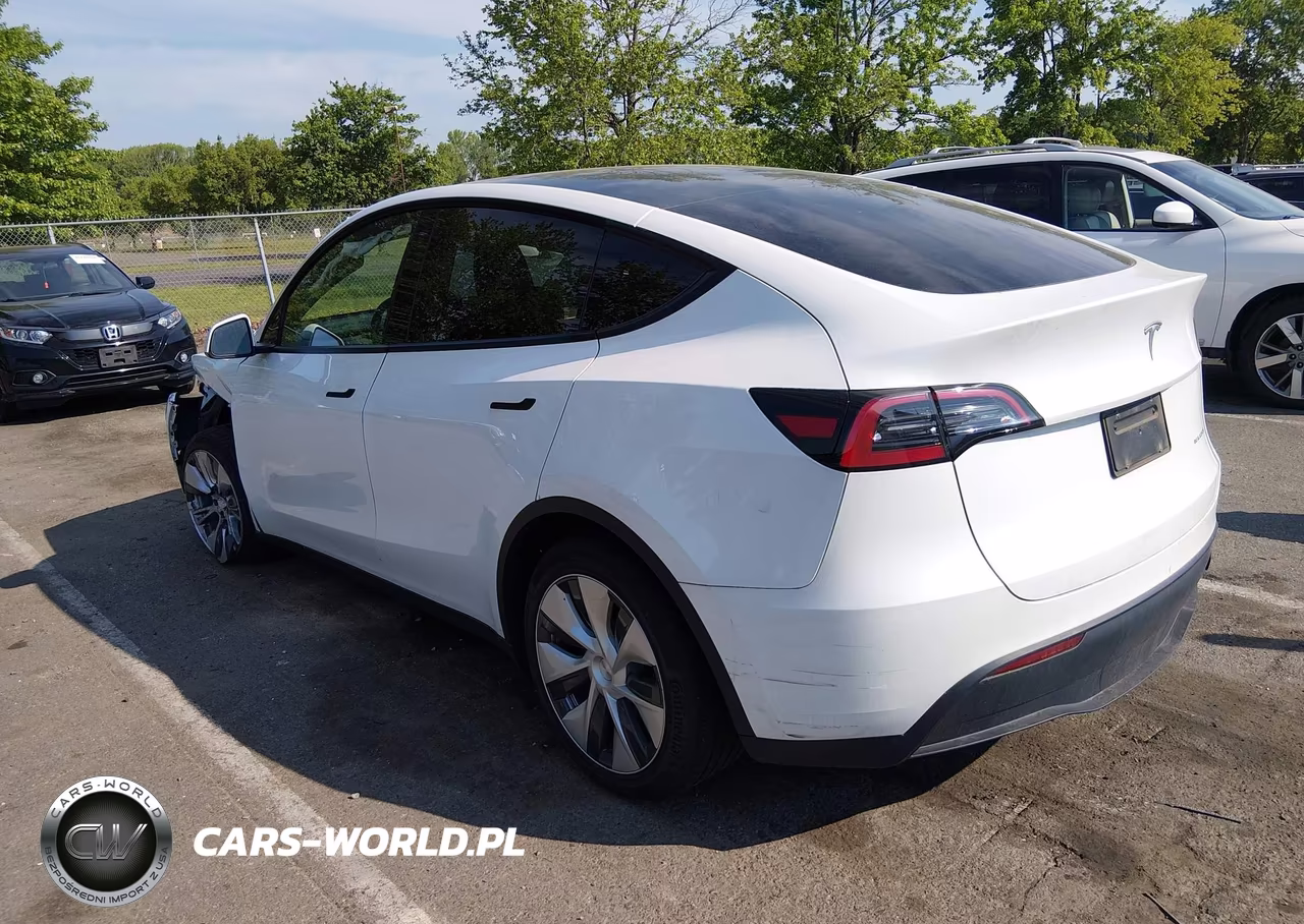 2023 Tesla Model Y VIN:7SAYGDEE3PF686365 - 3