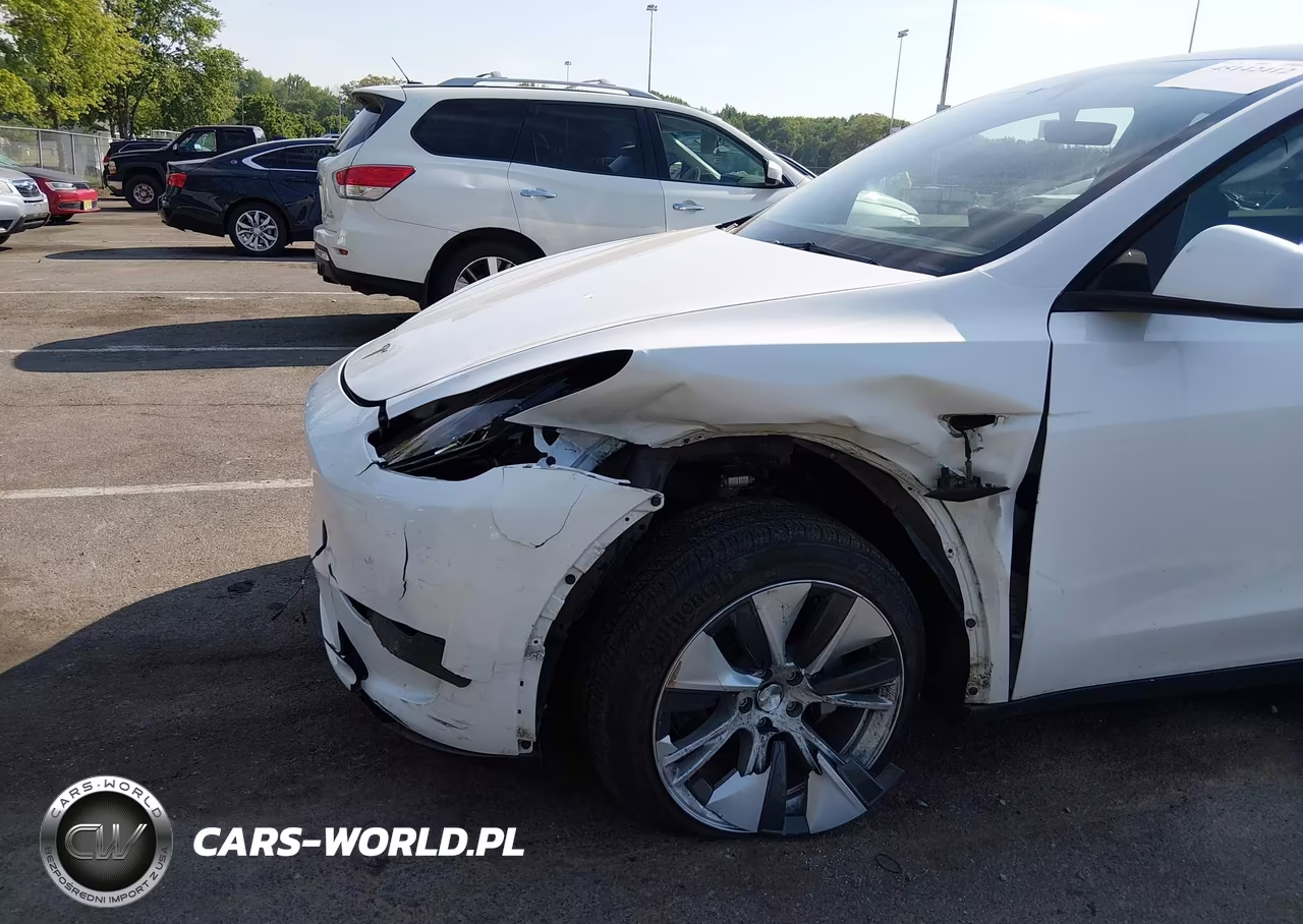 2023 Tesla Model Y VIN:7SAYGDEE3PF686365 - 6
