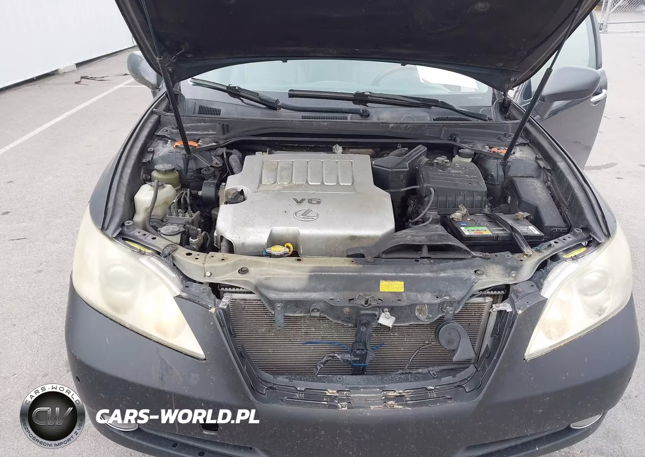 2007 Lexus Es 350 VIN:JTHBJ46G672024690 - 10
