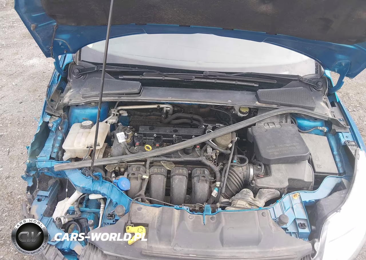 2013 Ford Focus Se VIN:1FADP3F26DL207669 - 10