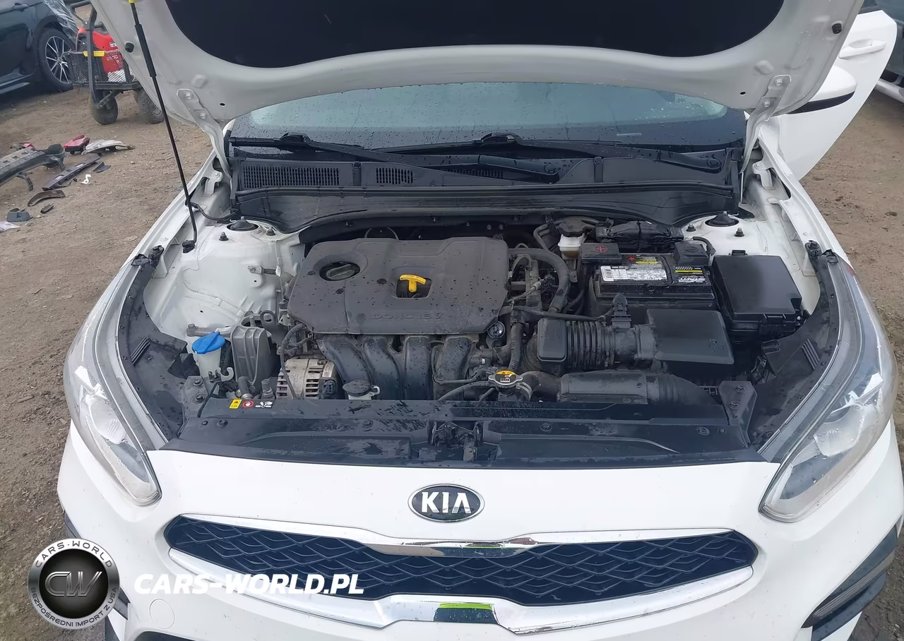 2019 Kia Forte S VIN:3KPF34AD8KE022428 - 10