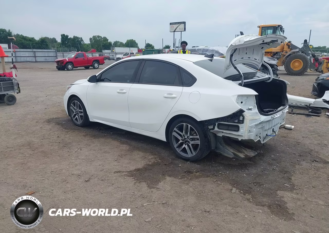 2019 Kia Forte S VIN:3KPF34AD8KE022428 - 3