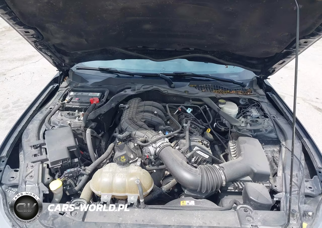 2016 Ford Mustang V6 VIN:1FATP8EM5G5311834 - 10