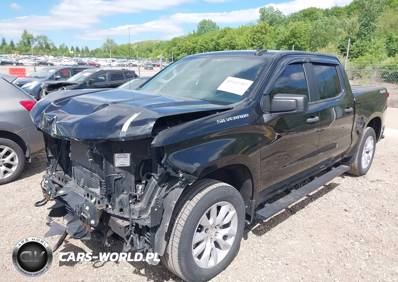 2020 Chevrolet Silverado 1500 4Wd Short Bed Custom VIN:3GCPYBEK8LG142318 - 2