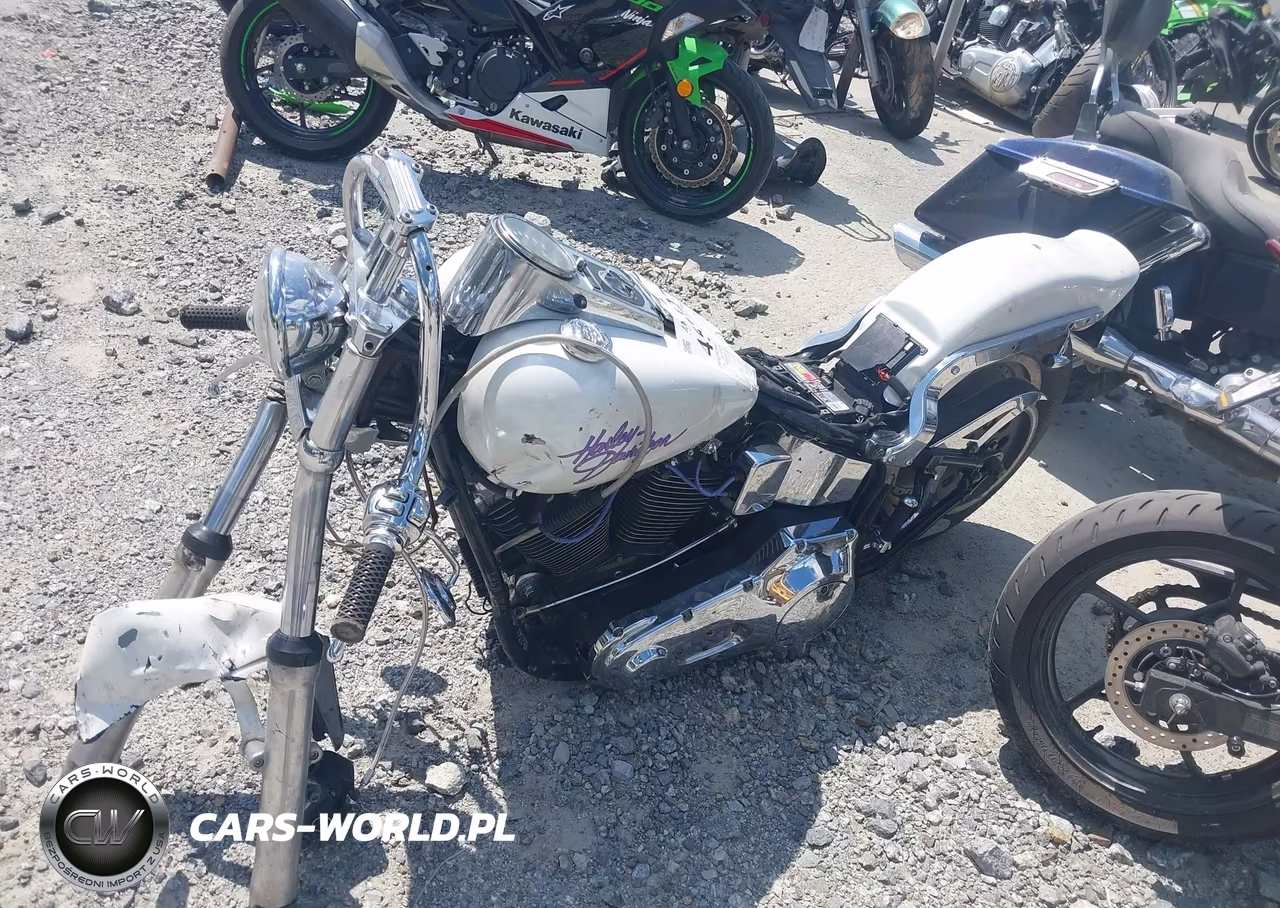 1998 Harley-Davidson Fxst Custom VIN:1HD1BKL16WY042289 - 12