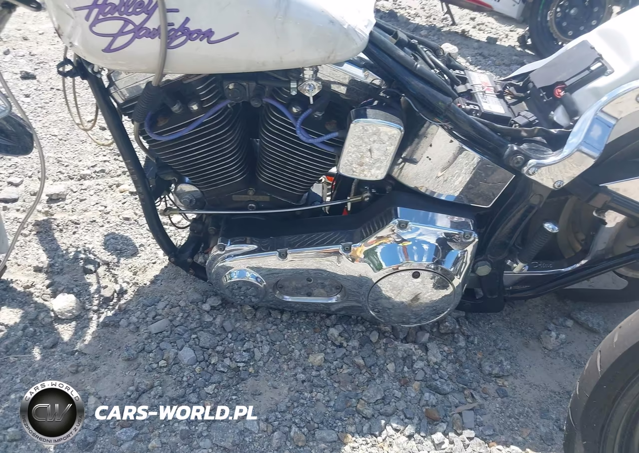 1998 Harley-Davidson Fxst Custom VIN:1HD1BKL16WY042289 - 9
