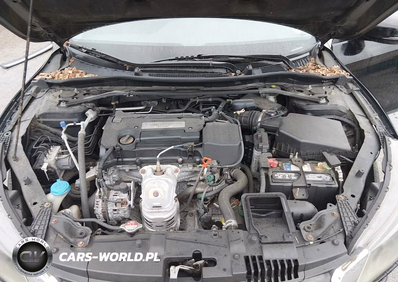 2014 Honda Accord Ex-L VIN:1HGCR2F87EA056239 - 10