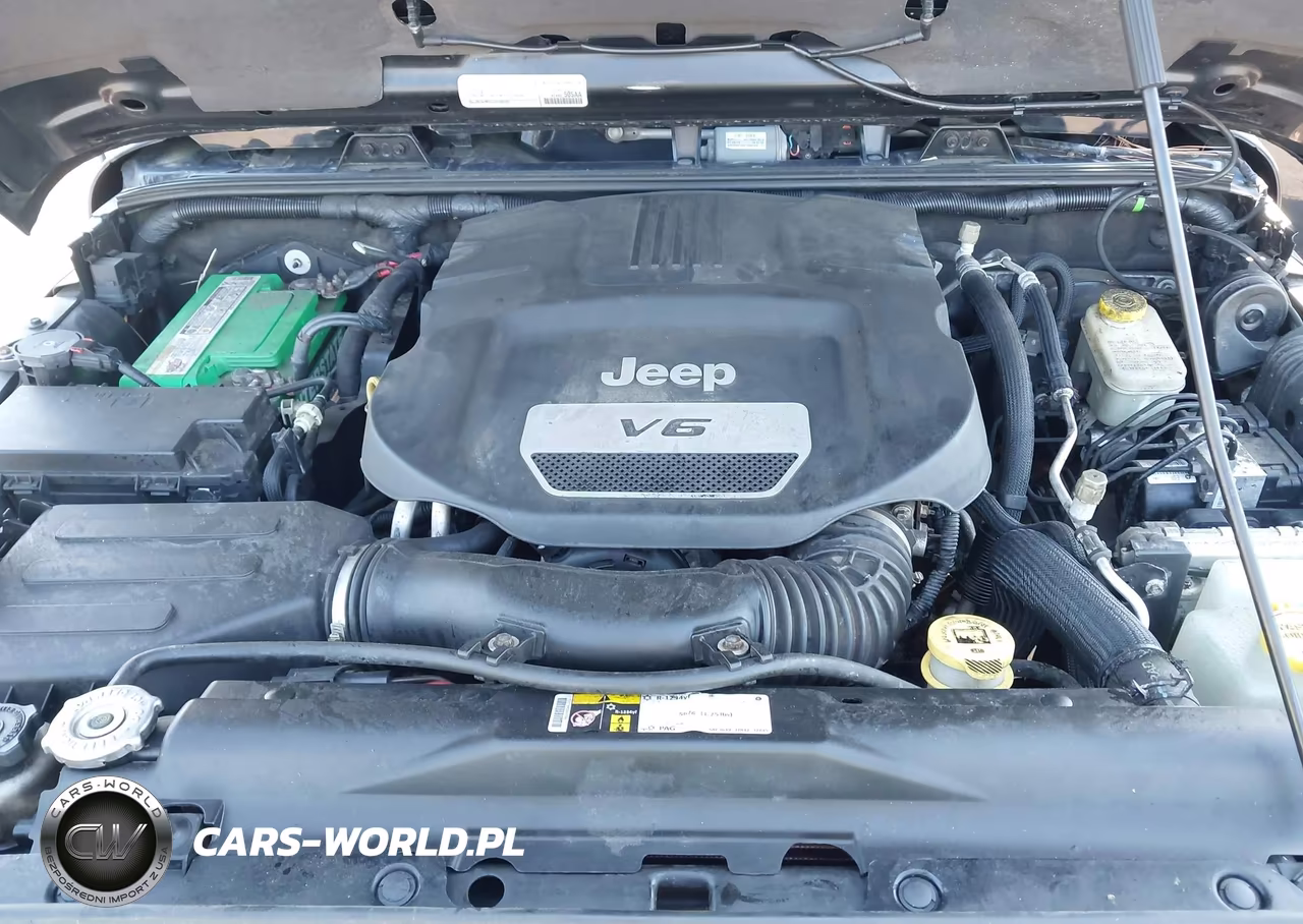 2016 Jeep Wrangler Unlimited Rubicon VIN:1C4BJWFG3GL125158 - 10