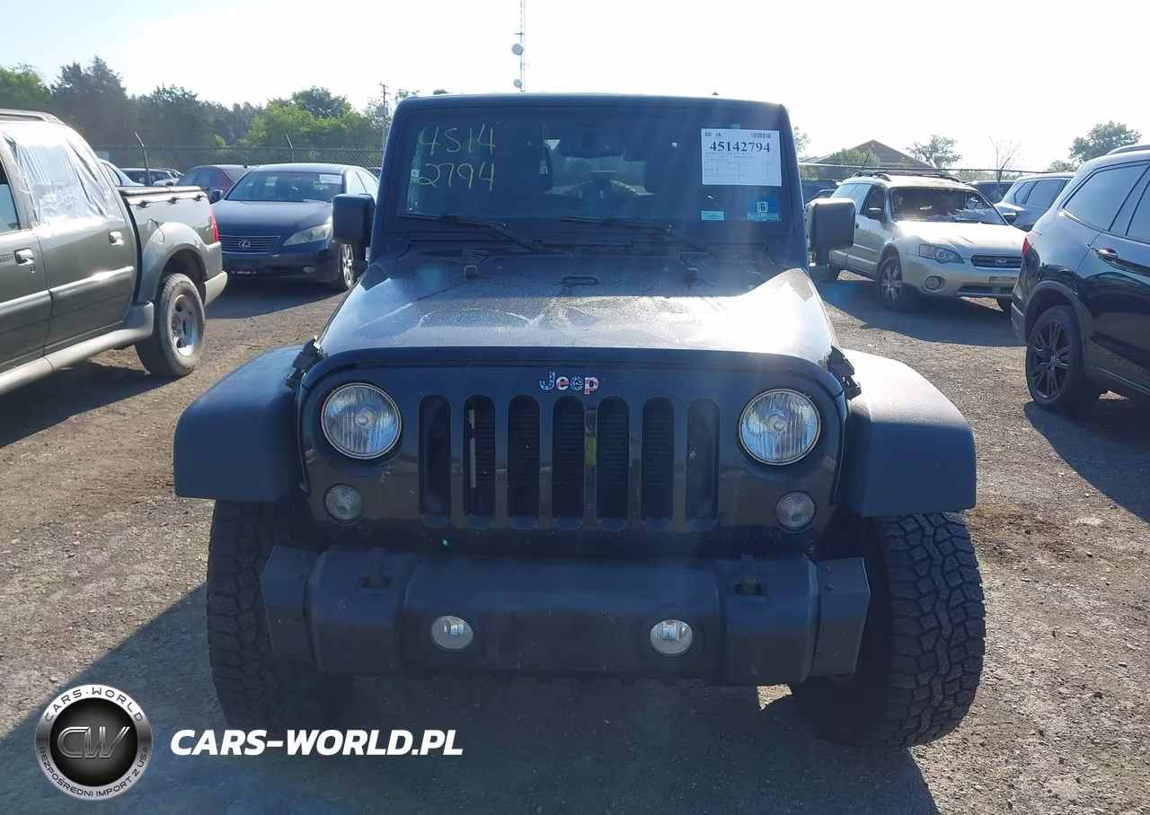 2016 Jeep Wrangler Unlimited Rubicon VIN:1C4BJWFG3GL125158 - 12