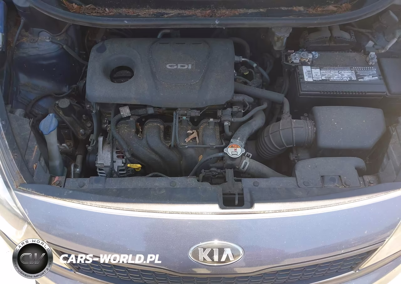 2016 Kia Rio Lx VIN:KNADM4A37G6664449 - 10