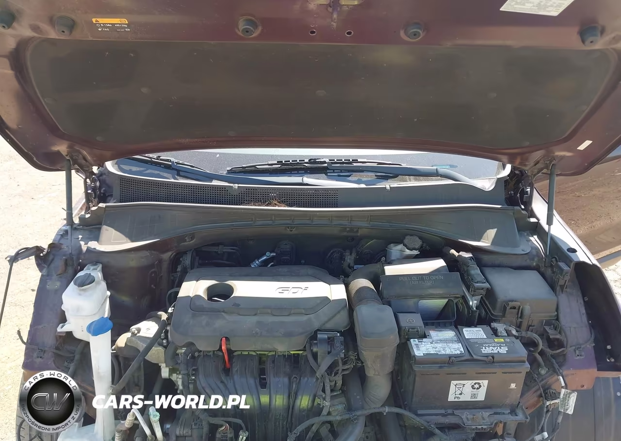 2018 Kia Sorento 2.4L Lx VIN:5XYPGDA3XJG431869 - 10