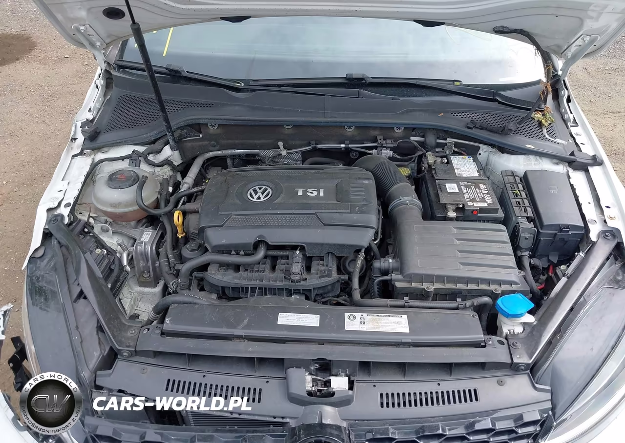 2018 Volkswagen Golf Gti 2.0T Autobahn-2.0T S-2.0T Se VIN:3VW447AU0JM293913 - 10