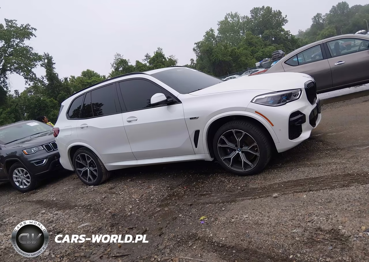 2023 BMW X5 Phev xDrive45E VIN:5UXTA6C05P9P33027 - 13
