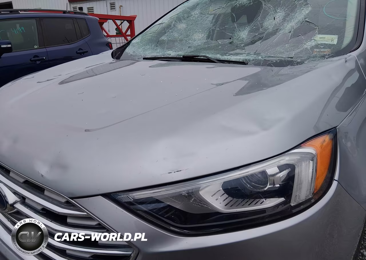 2021 Ford Edge Sel VIN:2FMPK4J96MBA02994 - 6