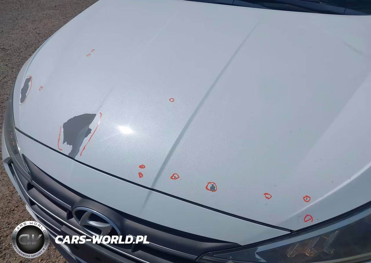 2019 Hyundai Elantra Se VIN:5NPD74LF6KH486579 - 12