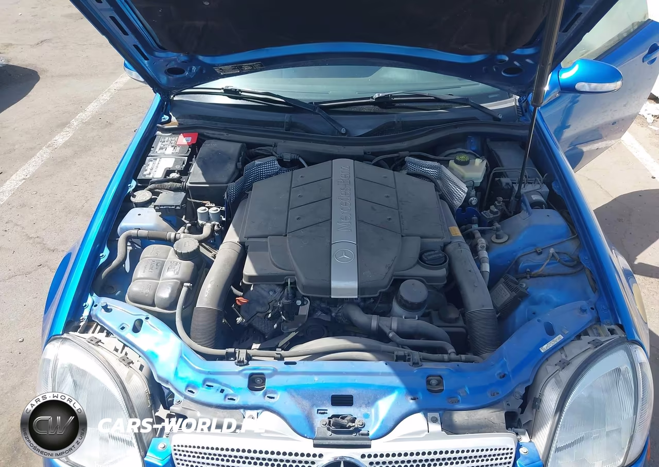 2001 Mercedes-Benz Slk 320 VIN:WDBKK65F91F217028 - 10