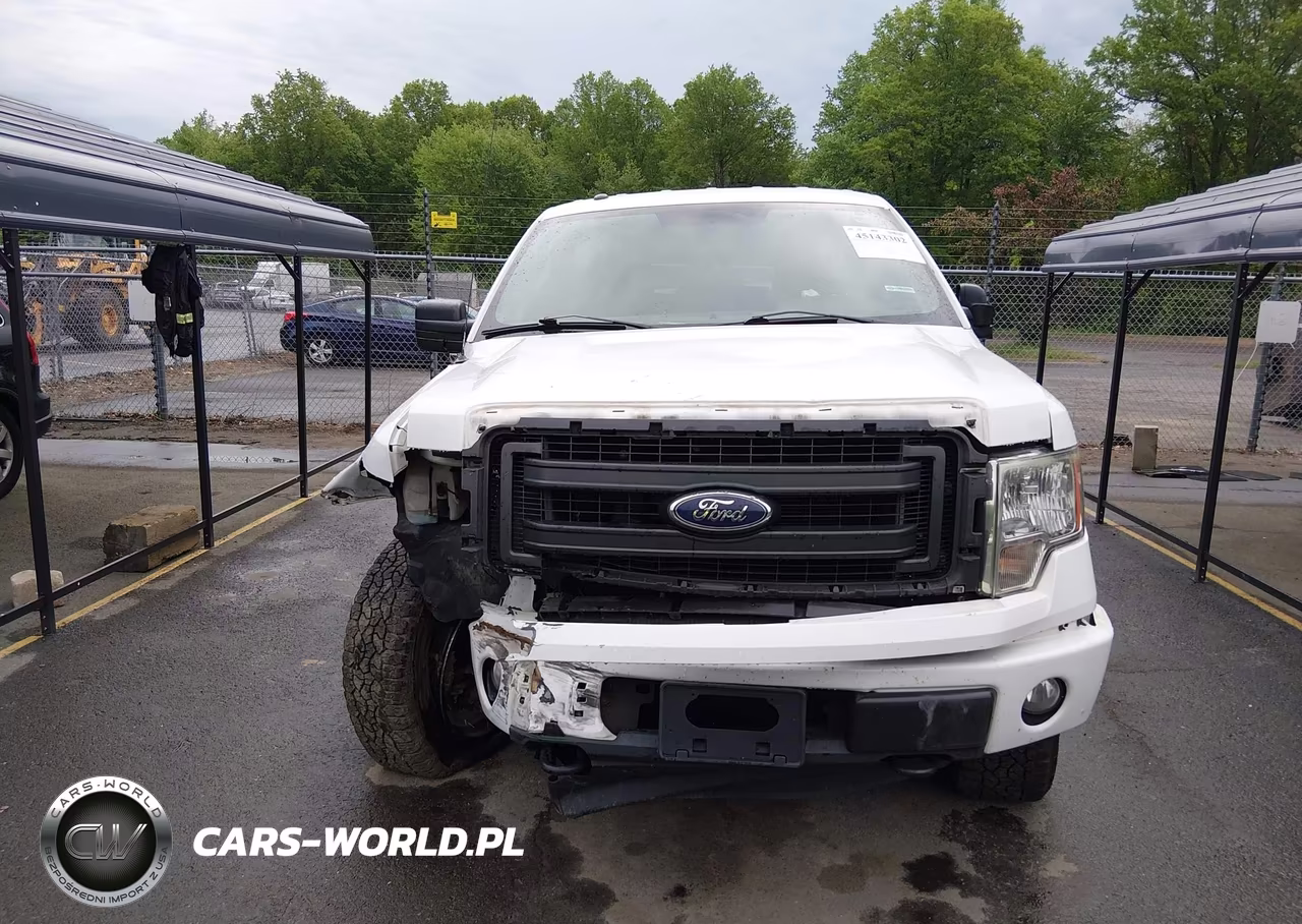 2013 Ford F-150 Stx VIN:1FTFX1EF2DKF07646 - 12