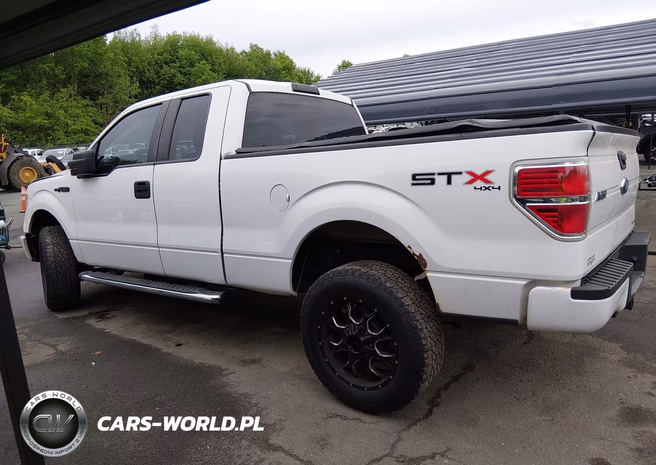 2013 Ford F-150 Stx VIN:1FTFX1EF2DKF07646 - 14