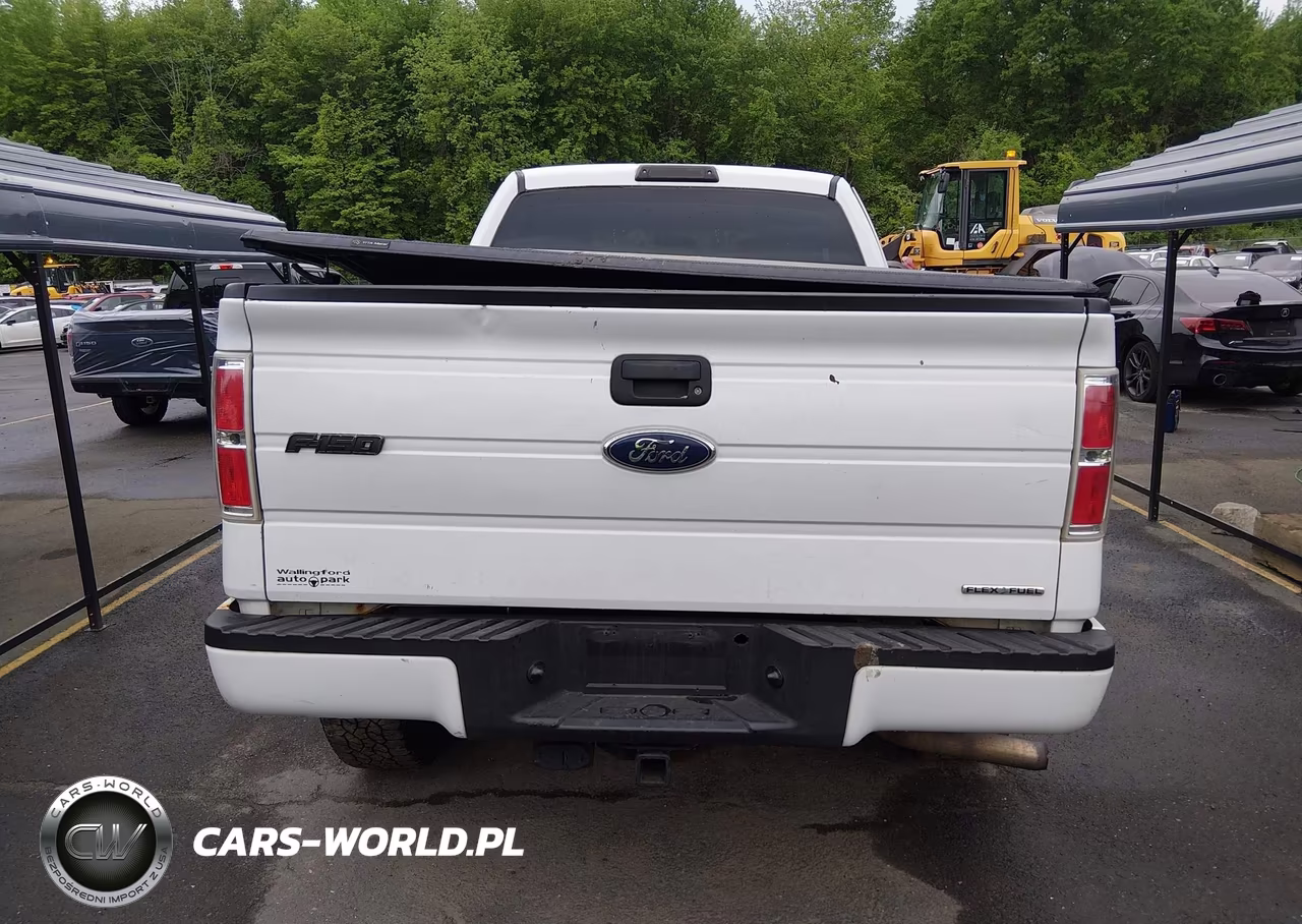 2013 Ford F-150 Stx VIN:1FTFX1EF2DKF07646 - 16