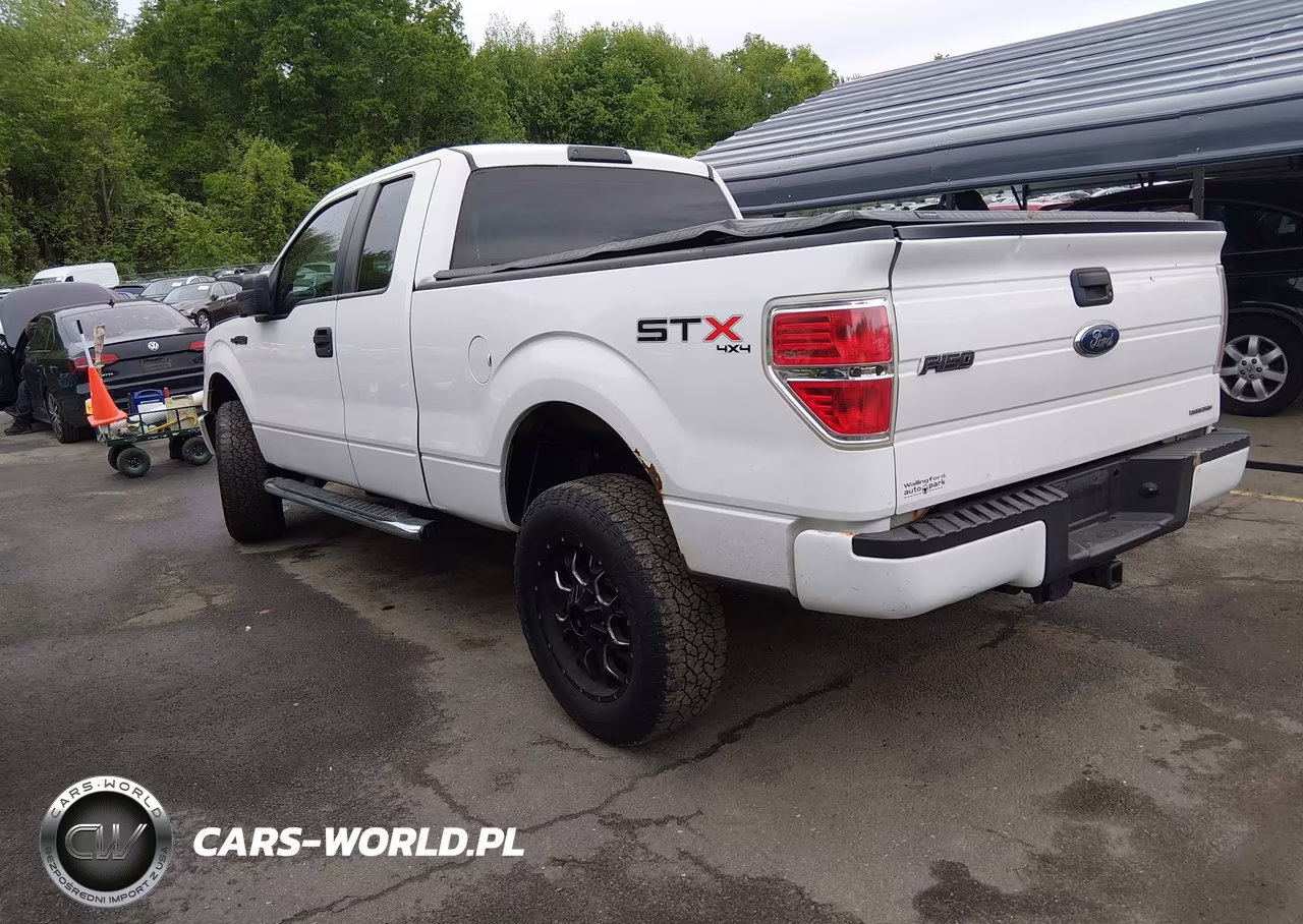 2013 Ford F-150 Stx VIN:1FTFX1EF2DKF07646 - 3