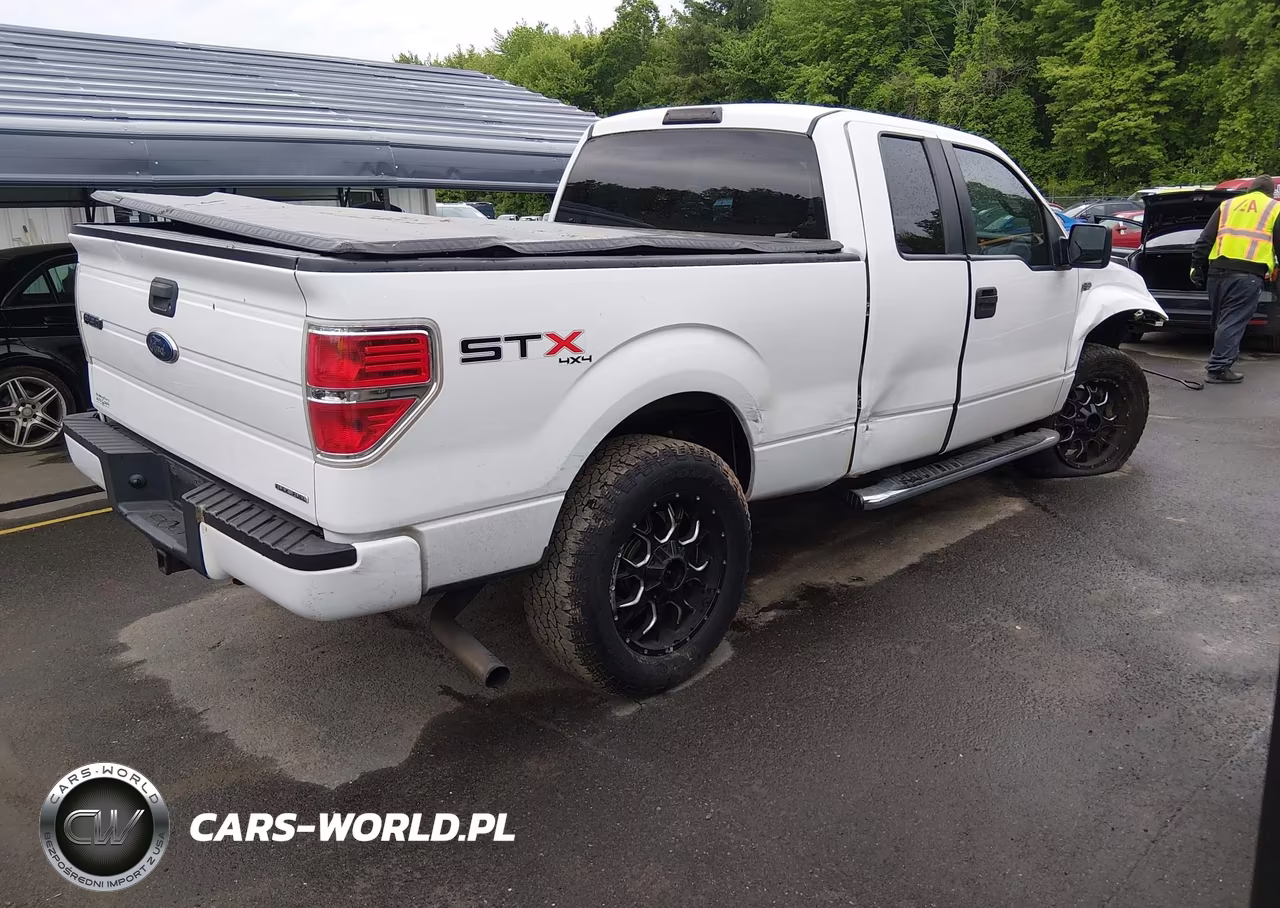 2013 Ford F-150 Stx VIN:1FTFX1EF2DKF07646 - 4