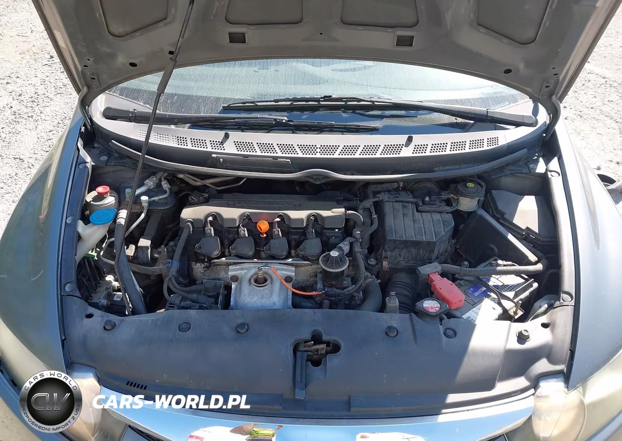 2009 Honda Civic Lx VIN:2HGFA165X9H355770 - 10