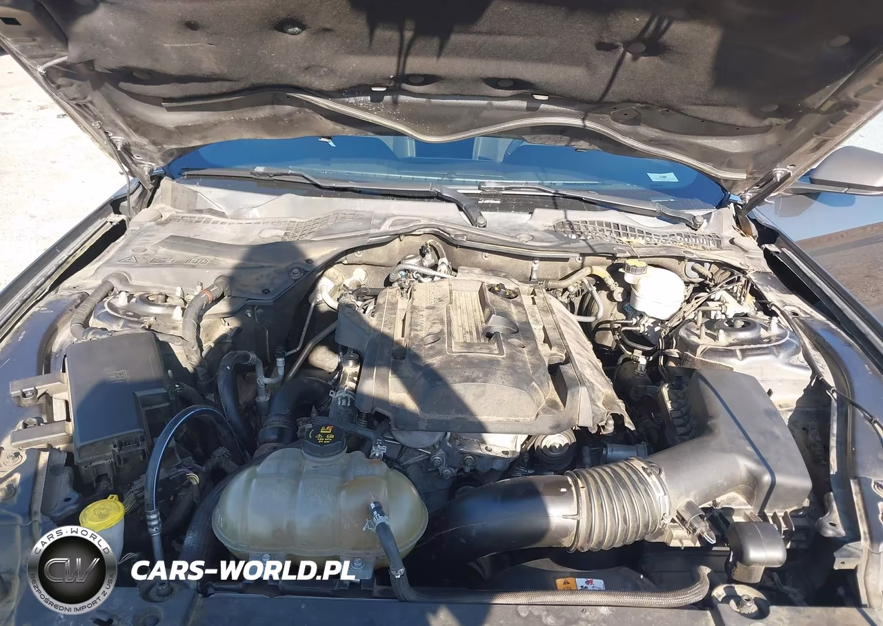 2017 Ford Mustang Ecoboost VIN:1FA6P8TH9H5312120 - 10