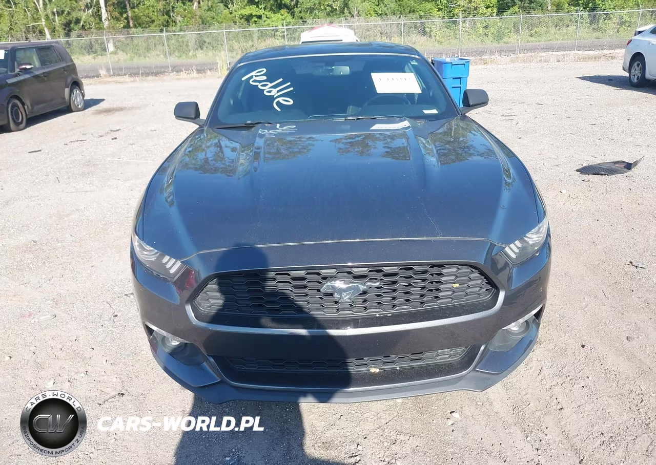 2017 Ford Mustang Ecoboost VIN:1FA6P8TH9H5312120 - 12
