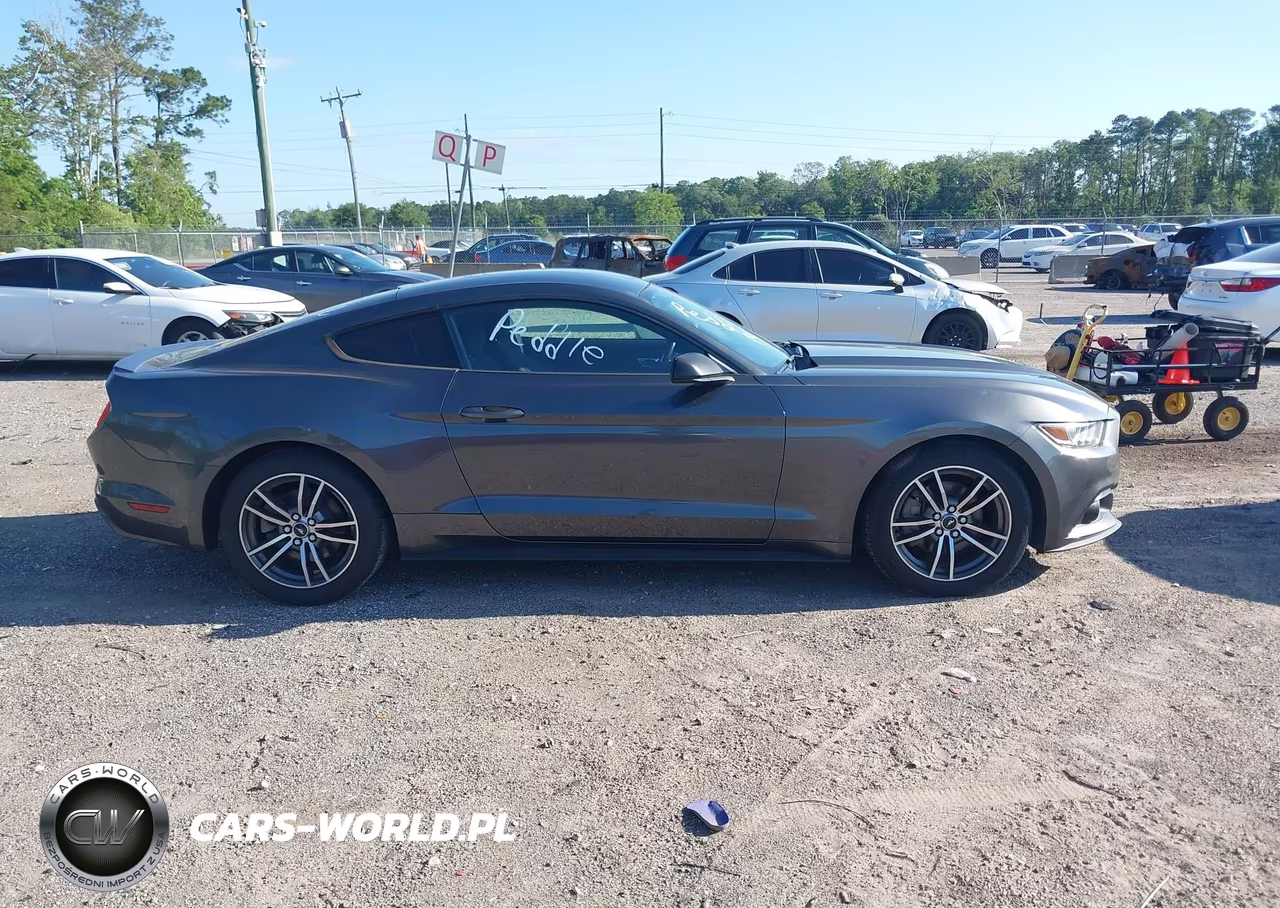 2017 Ford Mustang Ecoboost VIN:1FA6P8TH9H5312120 - 13