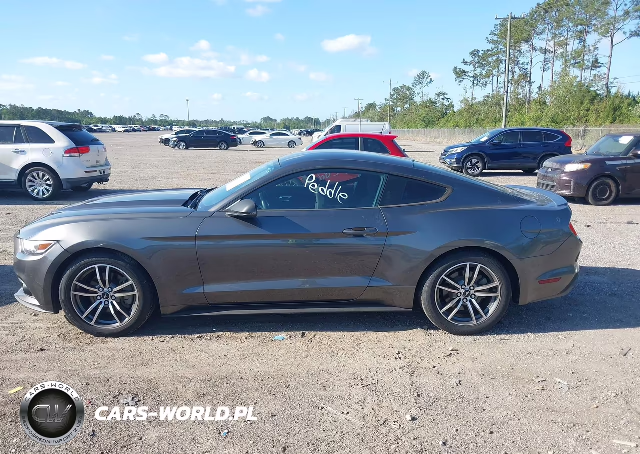 2017 Ford Mustang Ecoboost VIN:1FA6P8TH9H5312120 - 14