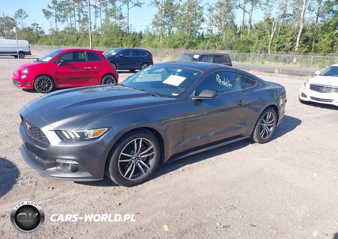 2017 Ford Mustang Ecoboost VIN:1FA6P8TH9H5312120 - 2